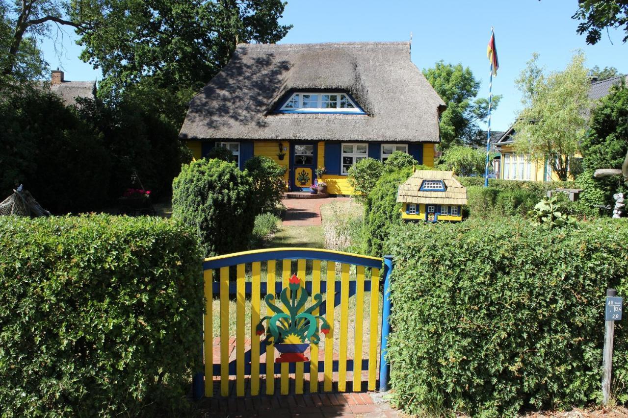 Strandstr_51 Wohnung 9 Zingst Zewnętrze zdjęcie